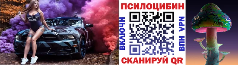 закладки  mega сайт  Галлюциногенные грибы мицелий  Заозёрный 